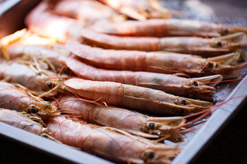 Large langoustine king shrimp.