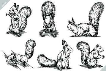 black and white engrave ink draw isolated set vector squirrel illustration © Turaev