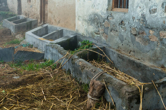 Domestic cattle house and feed troughs for cattle in rural India of the himalayan region. Uttarakhand India.