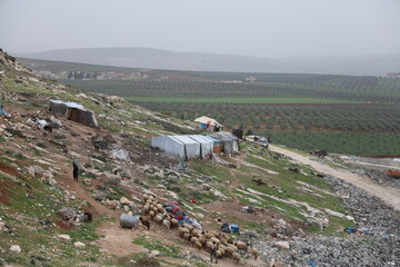 View from the top of the mountain