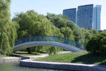 Fototapeta premium bridge over pond in park at dry sunny summer day
