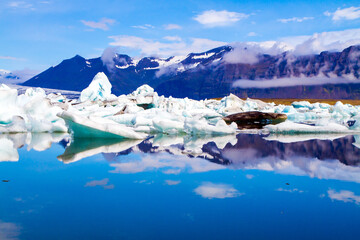 Icebergs and ice floes reflected in the water