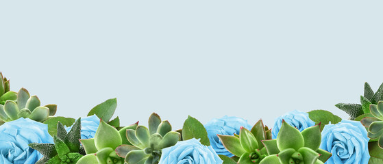 Beautiful blue rose flowers and succulents on light background with space for text. Banner for...