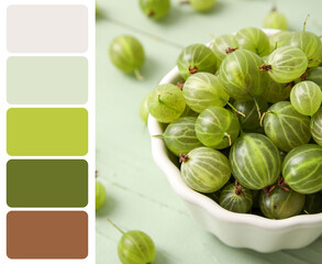 Bowl with fresh ripe gooseberry on light background. Different color patterns