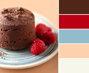 Plate with tasty lava cake fondant and raspberry on color background. Different color patterns
