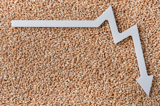 Wheat import. Reducing imports of wheat and cereals. world food crisis. Ban on the import of grain and agricultural products.