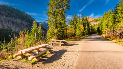 Wooden bench near road in Tatras mountains at autumn. - obrazy, fototapety, plakaty
