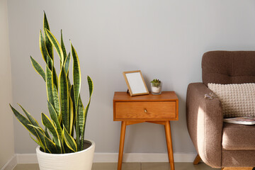 Comfortable armchair, houseplant and table near light wall