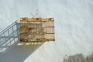 traditional birdcage in the streets of trinidad