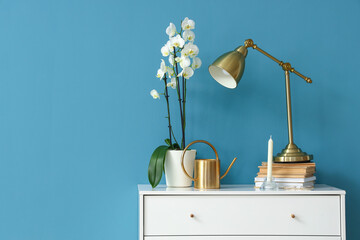Orchid flowers, lamp, watering can and books on chest of drawers near blue wall