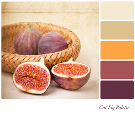 Cut fresh figs in a basket, in a colour palette with complimentary colour swatches. Vintage style processing. 