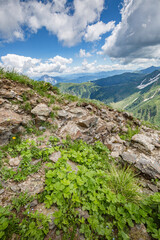 Naklejka na ściany i meble Beautiful nature. Mountain hiking Trail Road. Italy Lago Avostanis Casera Pramosio Alta