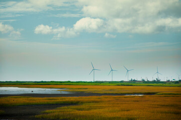 Taiwan, Taichung, West Coast, attractions, Gaomei Wetland, park