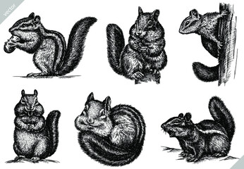 black and white engrave isolated chipmunk set illustration