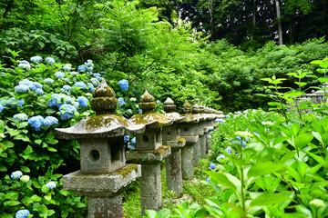 小泉八雲の怪談に出てくる亀の石造がある松江市月照寺　松江藩藩主の墓