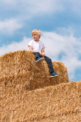 Naklejka na ściany i meble Portrait of fair-haired boy on the haystack against the blue sky and clouds. Summer weekend in the village.