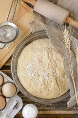 Leavened yeast dough ready for use for bread, pizza, pies - obrazy, fototapety, plakaty