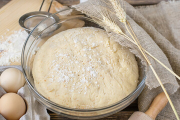 Leavened yeast dough ready for use for bread, pizza, pies - obrazy, fototapety, plakaty
