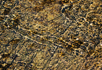 Liquid abstract background. Close-up view of the water of a mountain stream. Summer refreshing texture.