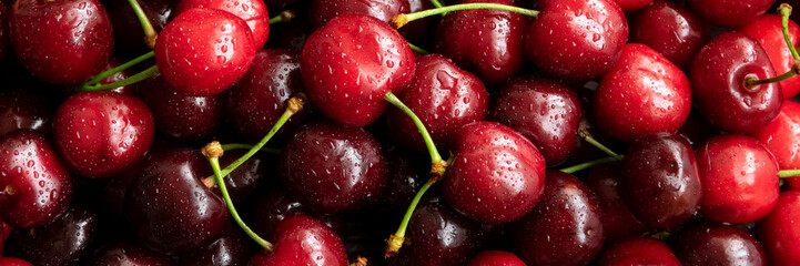 Close up view of fresh picked cherries, food photography background