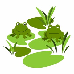 Frogs sitting on the leaves of a water lily. Cheerful and sad frogs look at each other. Cartoon illustration of frogs in shades of green. Flat graphics.