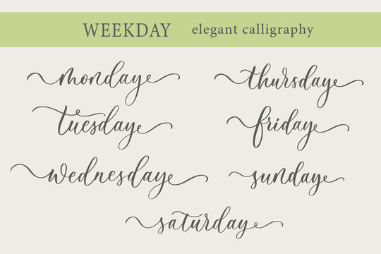 Days of the Week Handwriting Lettering Calligraphy. Sunday, Monday, Tuesday, Wednesday, Thursday, Friday, Saturday.