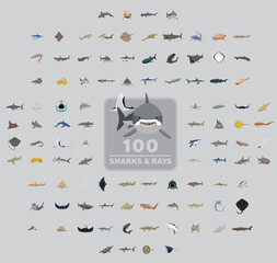 One Hundred Sharks and Rays Cartoon Vector Illustration Set