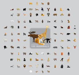 One Hundred Wild Mammals Cartoon Vector Illustration Set - obrazy, fototapety, plakaty