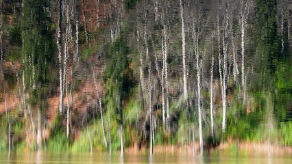 autumn and the image of trees reflected in the lake