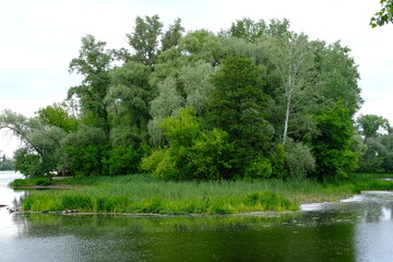 Ukraine, Sumy panoramic view on the river and forest