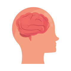 huma profile and brain