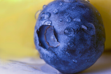 Blueberry isolated. Blueberry with water drops on plain bright background. High detail macro shoot. Bilberry.