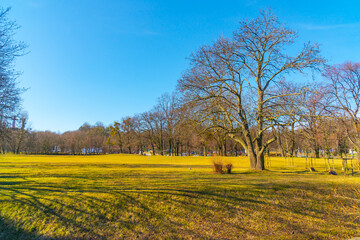 Obraz premium Football field in the public park of the city of Gdansk. Sport