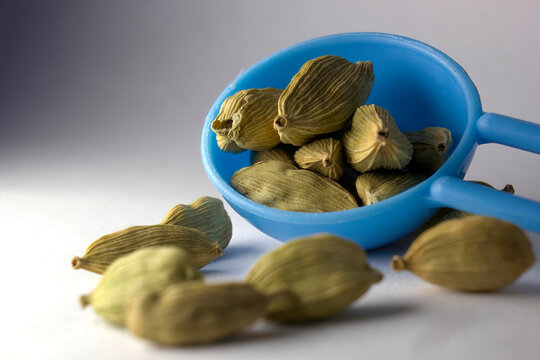 Closeup macro shot of dried green Elettaria cardamomum fruits with seeds, cardamom spice in small bowl on white background organic elaichi herb aromatic ingredient flavor ayurvedic edible herbs spices