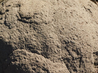 Closeup background photograph of an Anthill glistening in the sun, displaying the sand's texture in the finest detail
