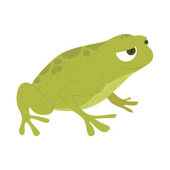 frog flat icon