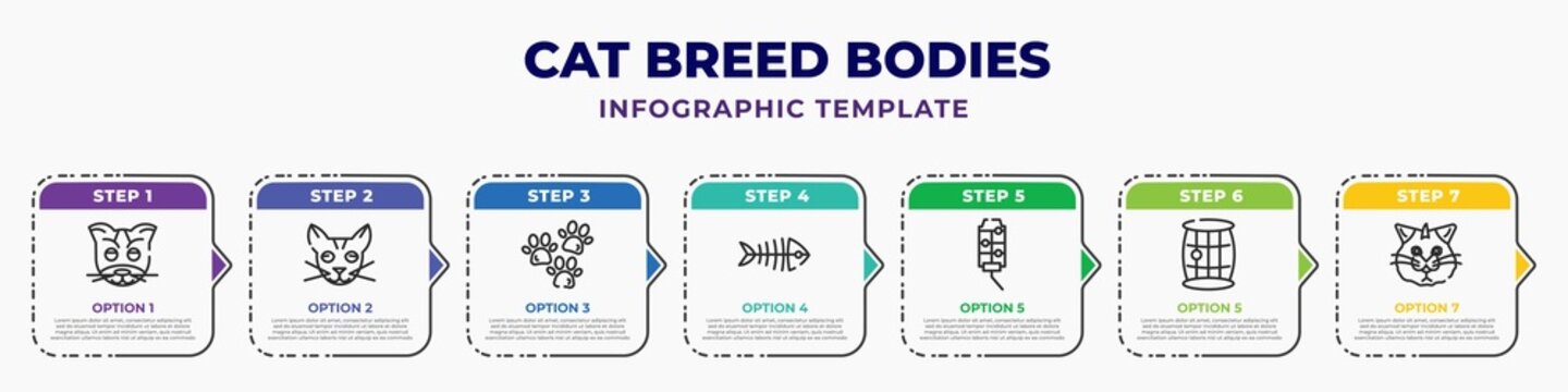 cat breed bodies infographic design template with lambkin dwarf cat, chausie cat, animal prints, fishbones, hamster water, barrel, selkirk rex icons. can be used for web, banner, info graph.