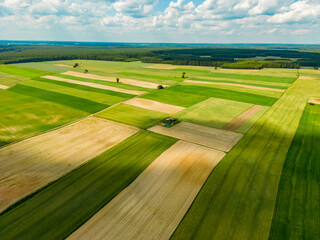 field and sky with clouds