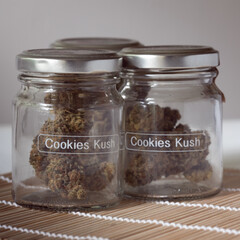 Cannabis buds dried and trimmed in glass jars with a light background