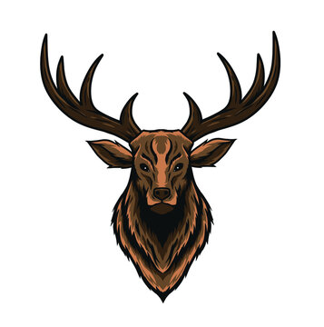 deer head illustration