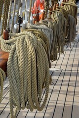 Closeup of a row belaying pins and tied ropes on a vintage tall ship