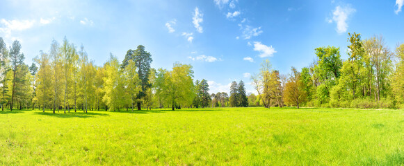 Green park panorama with green trees and green grass on green field - Powered by Adobe