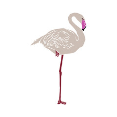 Illustration:Beautiful flamingo, used in general applications