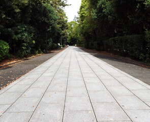 path in the Japanese sample.