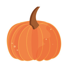 pumpkin icon isolated