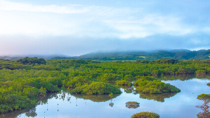 【空撮】石垣島 名蔵アンパル