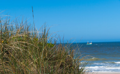 Düne mit Meerblick und Krabbenkutter am Horizont