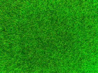 Fototapeta na wymiar Green grass texture background grass garden concept used for making green background football pitch, Grass Golf, green lawn pattern textured background...