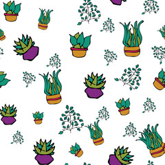Vector white background plant in pot, succulents seamless pattern. Seamless pattern background