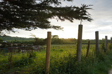 horse farm don't touch horses sign